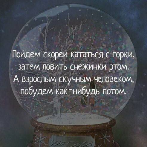 Пойдем скорей кататься с горки затем ловить снежинки ртом А взрослым скучным человеком побудем как нибудь потом