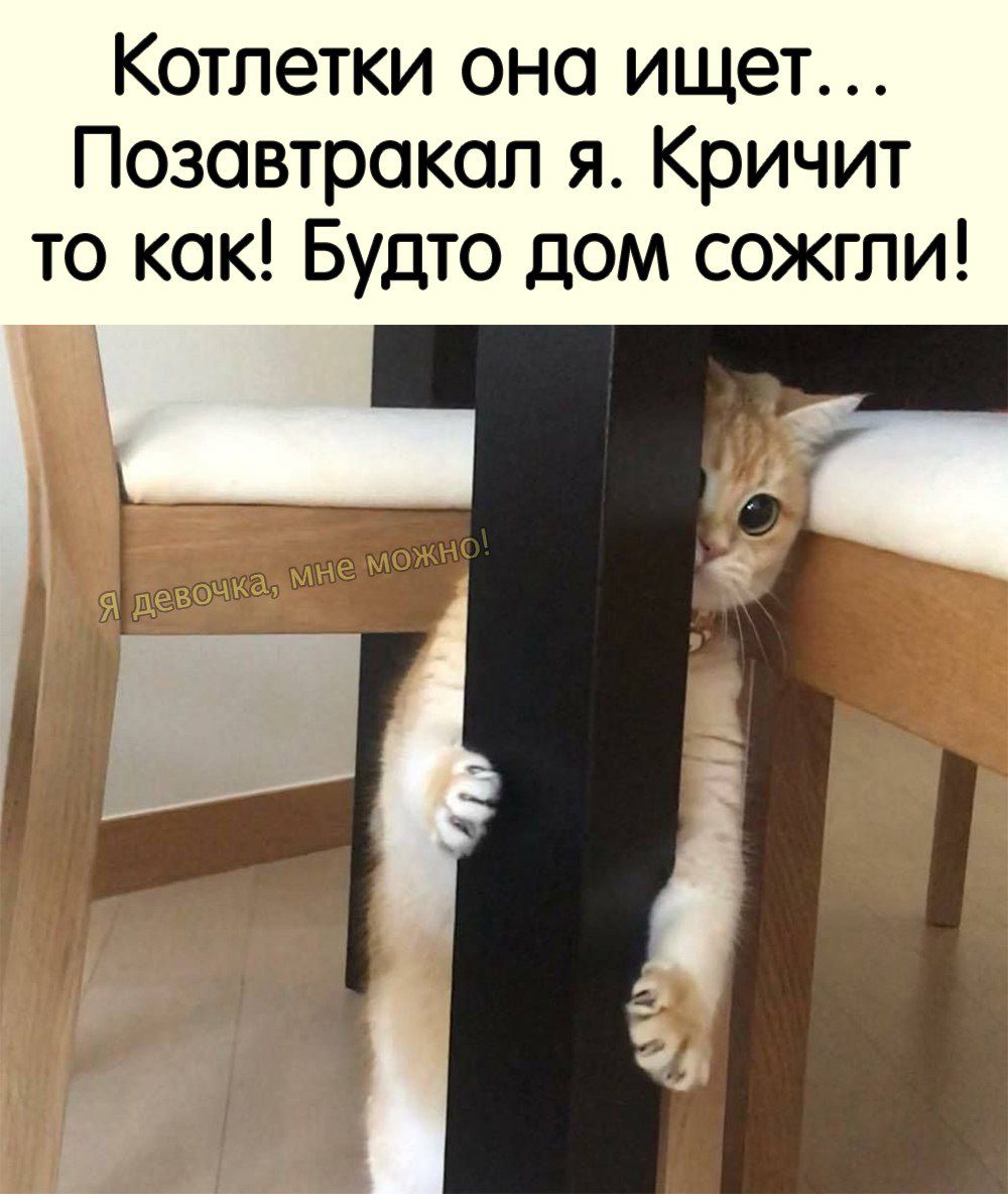 Котлетки она ищет Позовтрокап я Кричит то как Будто дом сожгли