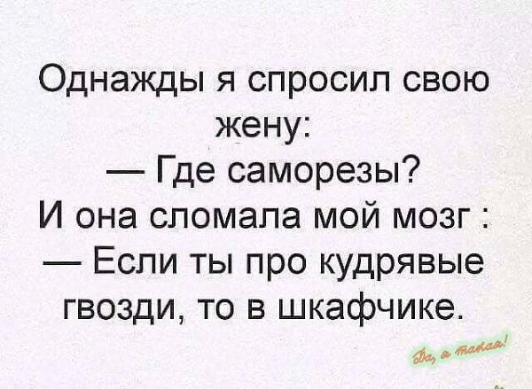 Однажды я спросил свою жену Где саморезы И она сломала мой мозг Если ты про кудрявые гвозди то в шкафчике фдш