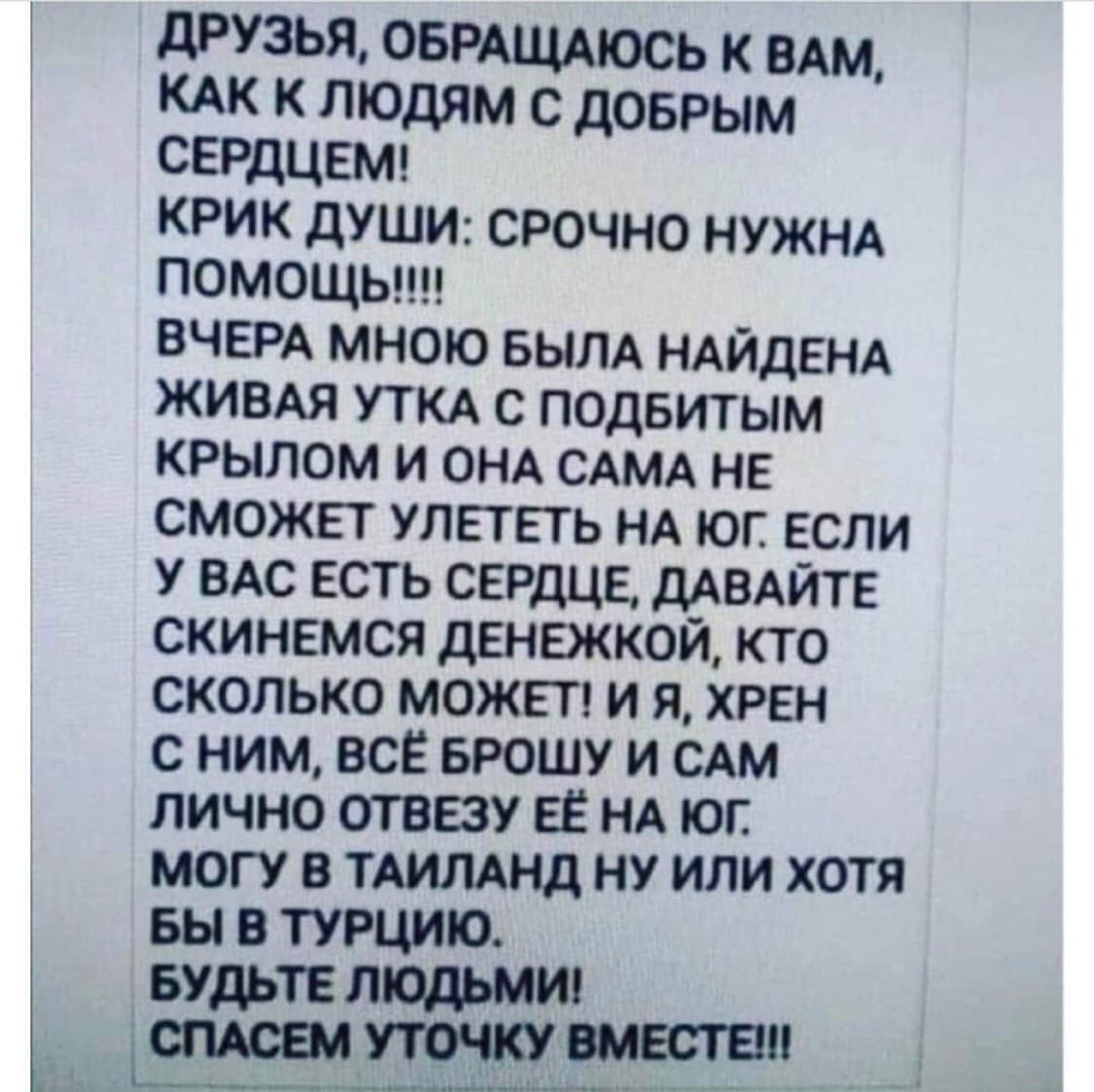 дРузья ОБРАЩАЮСЬ к ВАМ КАК к людям с добрым СЕРДЦЕМ крик души срочно НУЖНА помощыш вчаэд мною вым ндйдвнд ЖИВАЯ УТКА с подвитым крылом и ОНА САМА не сможвт уппгть НА юг если вм есть СЕРДЦЕ дАВАЙТЕ скинемся денежкой кто сколько может и я хрен с ним все БРОШУ и см пично отвезу ЕЕ НА юг могу в тдилднд ну или хотя вы в тугцию БУДЬТЕ людьми шествии