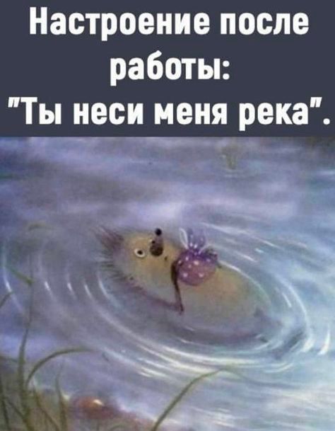 Настроение после работы Ты неси меня река