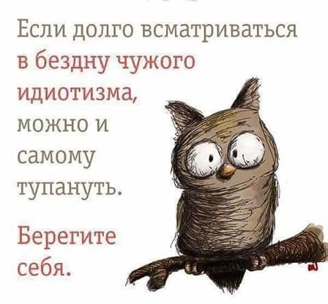 Если долго всматриваться в бездну чужого идиотизма можно и самому тупануть Берегите себя