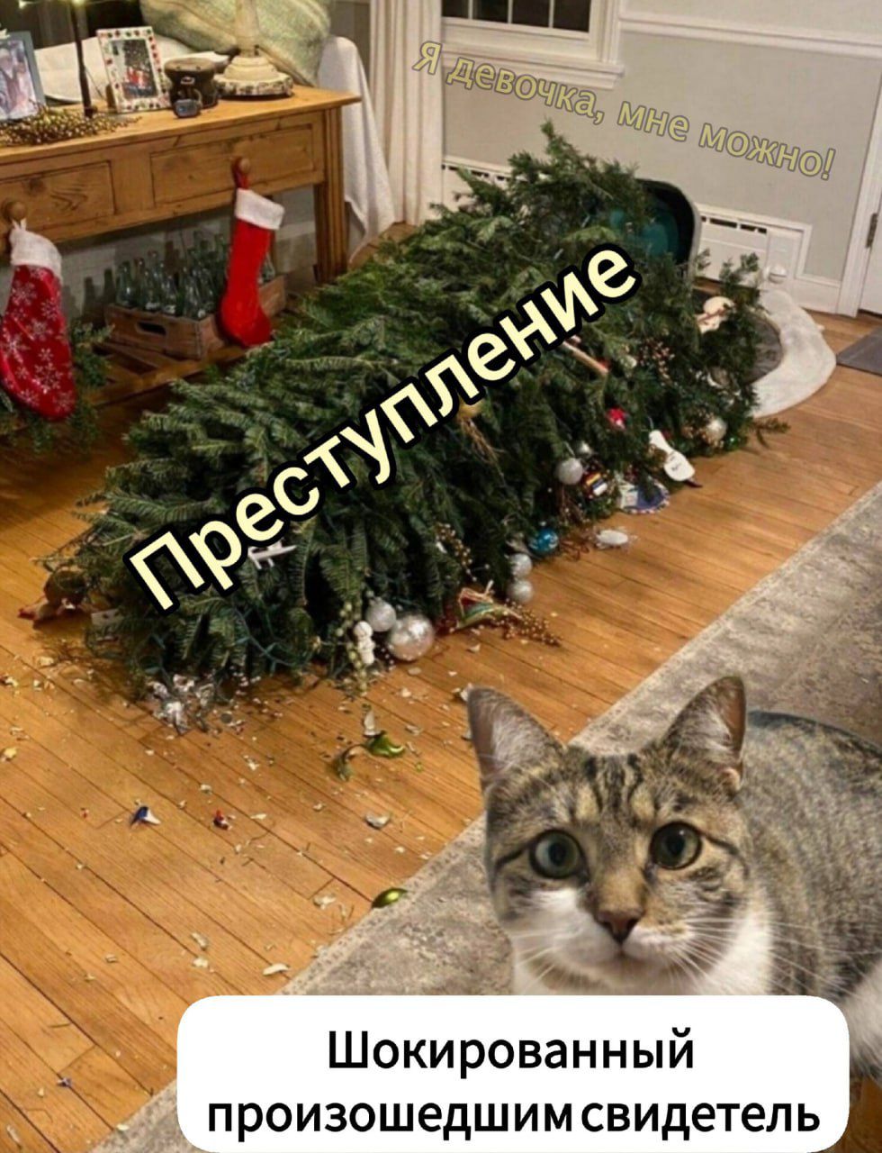 Шокированный произошедшимсвидетель