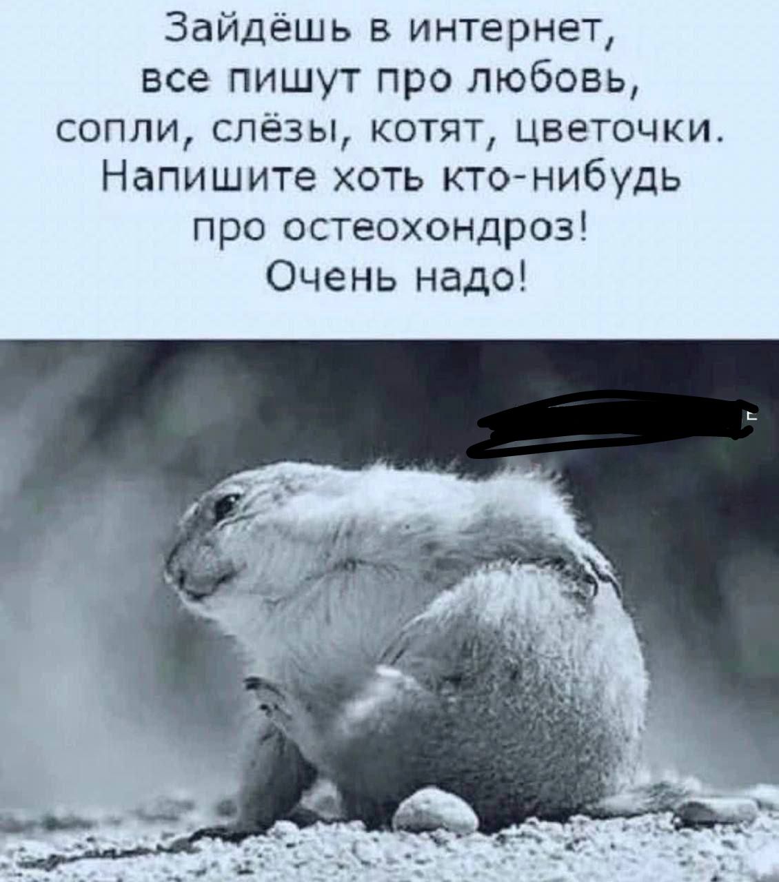 Зайдёшь интернет все пишут про любовь сопли слёзы котят цветочки Напишите хоть кттнибудь про остеохондроз Очень надо