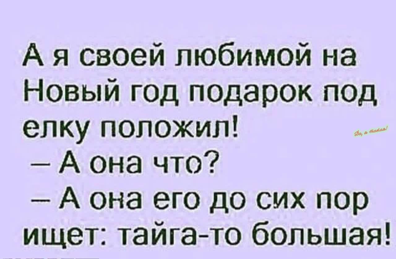 А я своей любимой на Новый год подарок под елку положил А она что А она его до сих пор ищет тайгато большая