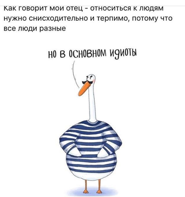 как говорит мои отец относиться к людям нужно снисходительно и терпима потому что все люди разные но в основном и9иоты И 11