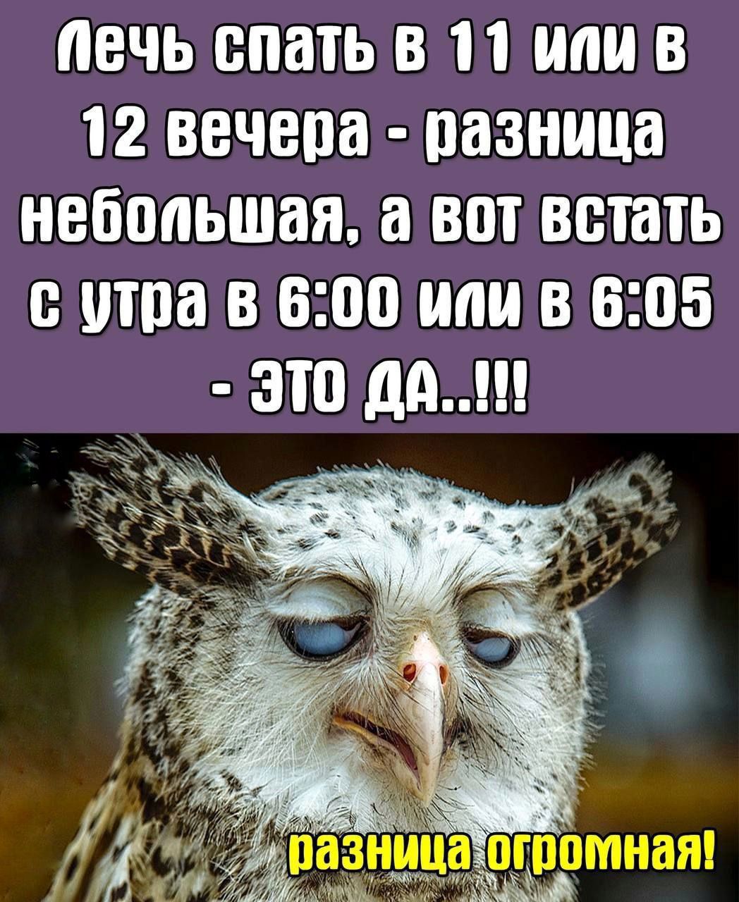 ВЧЬ ВПЕПЬ В П В 12 ВВЧЕПВ пазница НЕБППЬШЗЯ а ВПТ ВВШТЬ 0 Пда В 000 или В 005 ЭТП Д