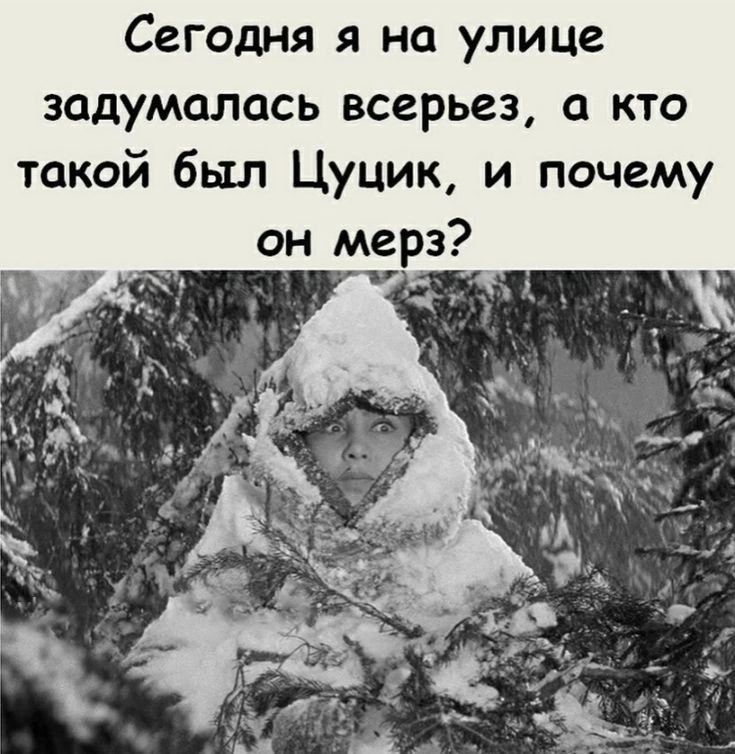 Сегодня я на улице задумалась всерьез а кто такой был Цуцик и почему