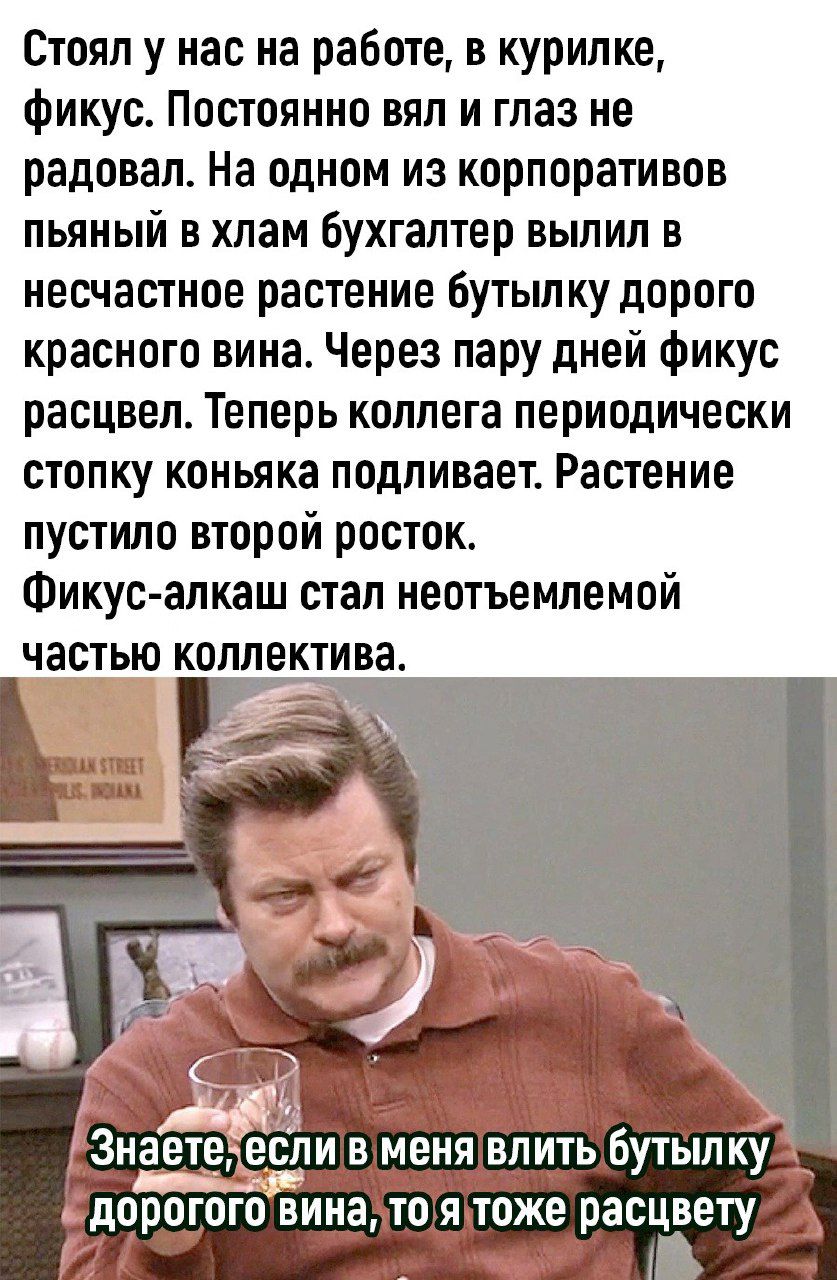 Стоял у нас на работе в курилке фикус Постоянно пил и глаз не радовал На одном из корпоративов пьяный в хлам бухгалтер вылил в несчастное растение бутылку дорого красного вина Через пару дней фикус расцвел Теперь коллега периодически стопку коньяка подливает Растение пустило второй росток Фикус алкаш стал неотъемлемой частью коллектива Знаете если в меня влить бутылку дорогого вина то я тоже расцв