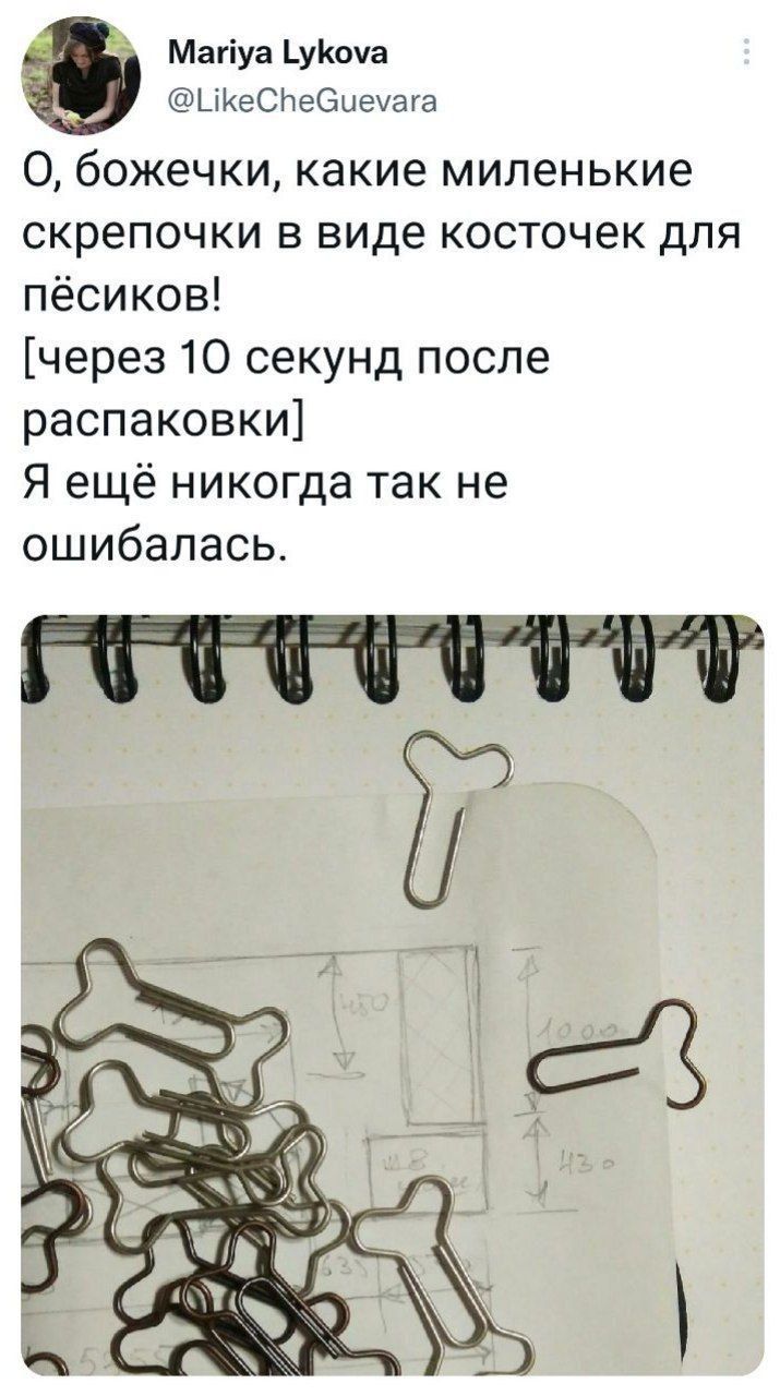 Магіуа Ьуікоуа ЦКЕСНееиеуага 0 божечки какие миленькие скрепочки в виде косточек для пёсиков через 10 секунд после распаковки Я ещё никогда так не ошибалась