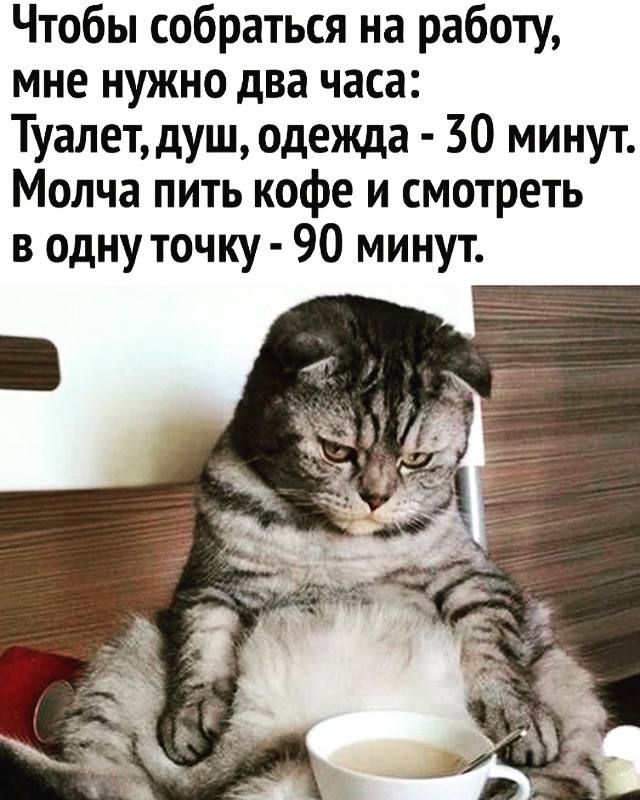 Чтобы собраться на работу мне нужно два часа Туалет душ одежда 30 минут Молча пить кофе и смотреть в одну точку 90 минут