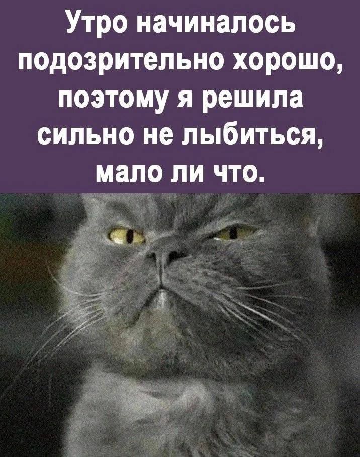 Утро начиналось подозрительно хорошо поэтому я решила сильно не лыбиться мало ли что _ __ _ дц _ д и