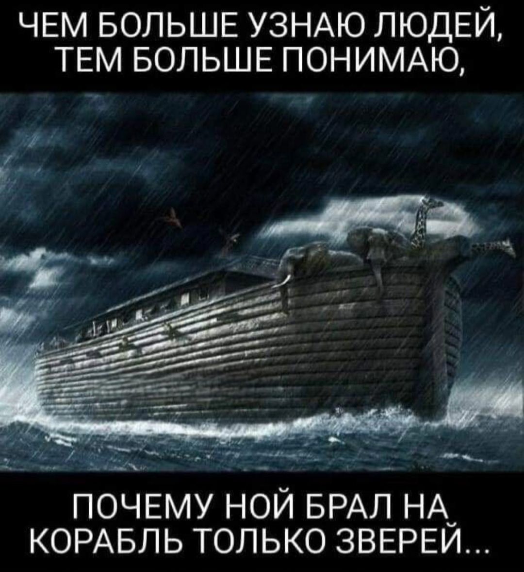 ЧЕМ БОЛЬШЕ УЗНАЮ ЛЮДЕЙ ТЕМ БОЛЬШЕ ПОНИМАЮ ПОЧЕМУ НОЙ БРАЛ НА КОРАБЛЬ ТОЛЬКО ЗВЕРЕЙ