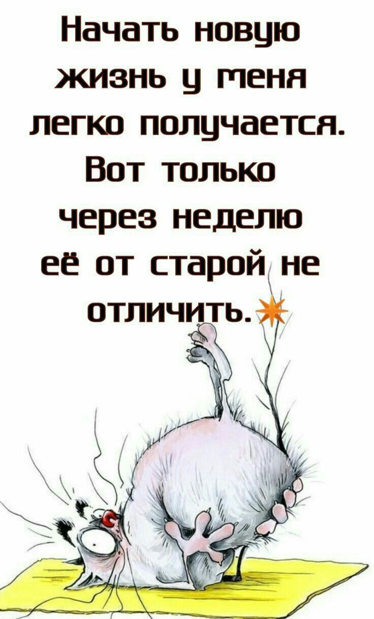 Начать новую жизнь у пеня легко получается Вот только через неделю ее от старой не отличить