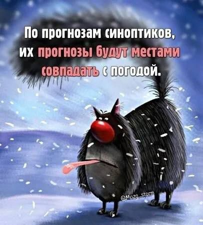 их прогнозы будутиместами совпалатедапоподой