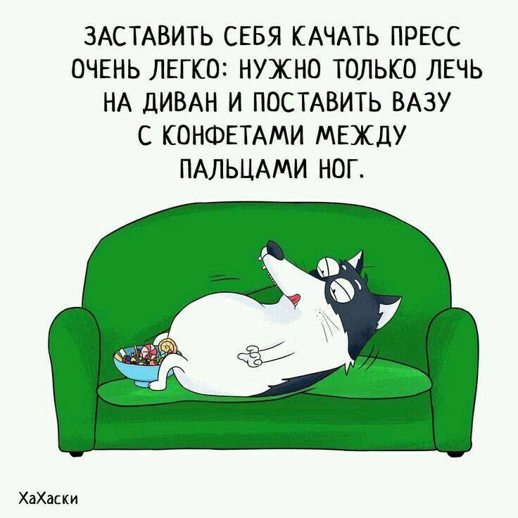 ЗАСТАВИТЬ СЕБЯ КАЧАТЬ ПРЕСС ОЧЕНЬ ЛЕГКО НУЖНО ТОЛЬКО ЛЕЧЬ НА ДИВАН И ПОСТАВИТЬ БАЗУ С КОНФЕТАМИ МЕЖДУ ПАЛЬЦАМИ НОГ Хахмки