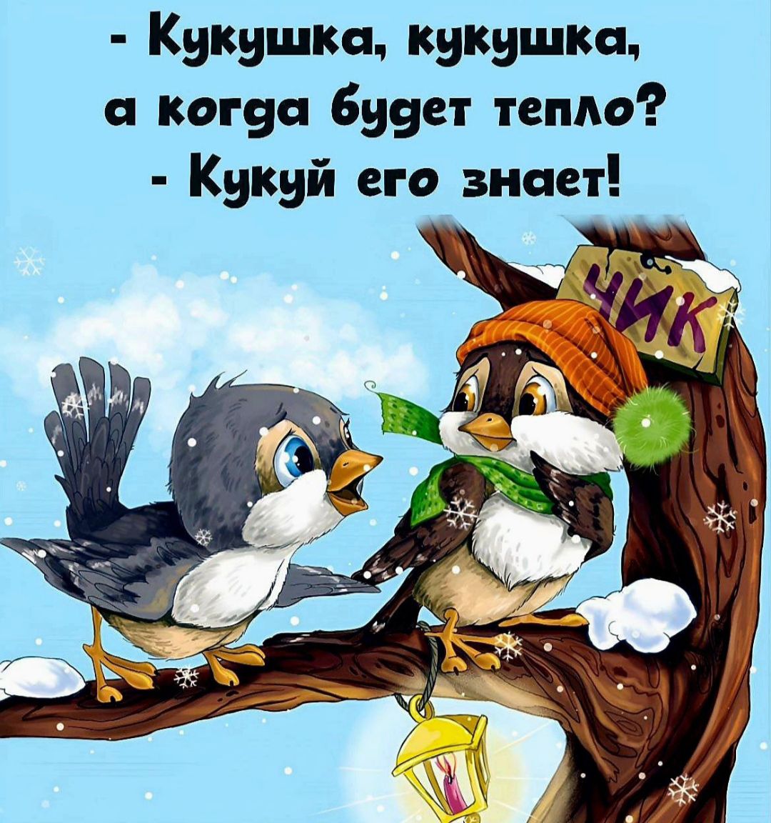 Кукушка кукушка когуп 659 тетю Кукуй его знает