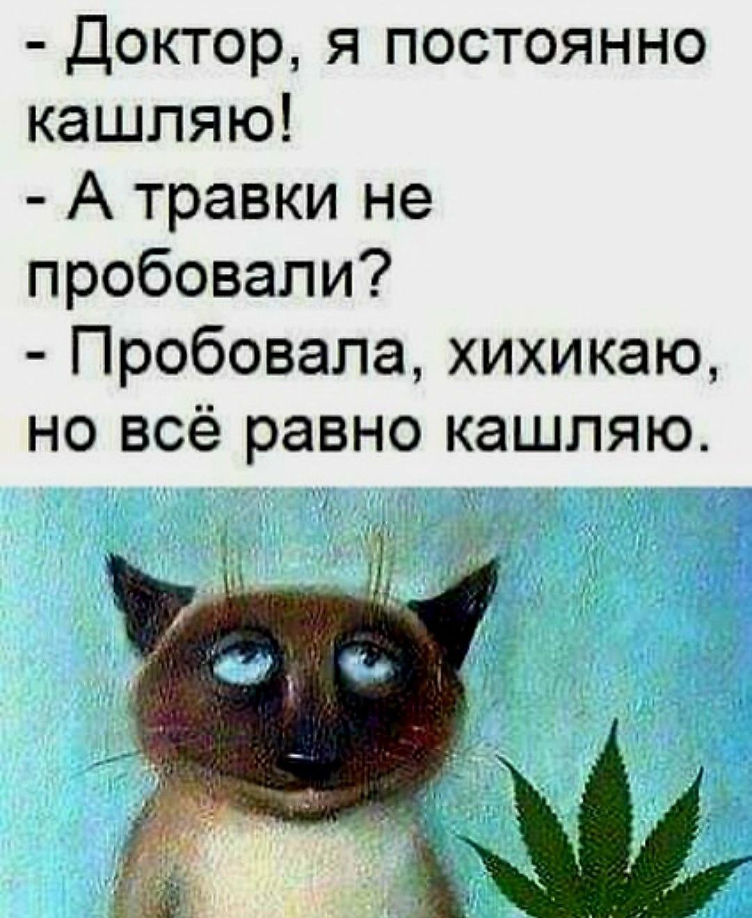 Доктор я постоянно кашпяю А травки не пробовали Пробовала хихикаю но всё равно кашляю
