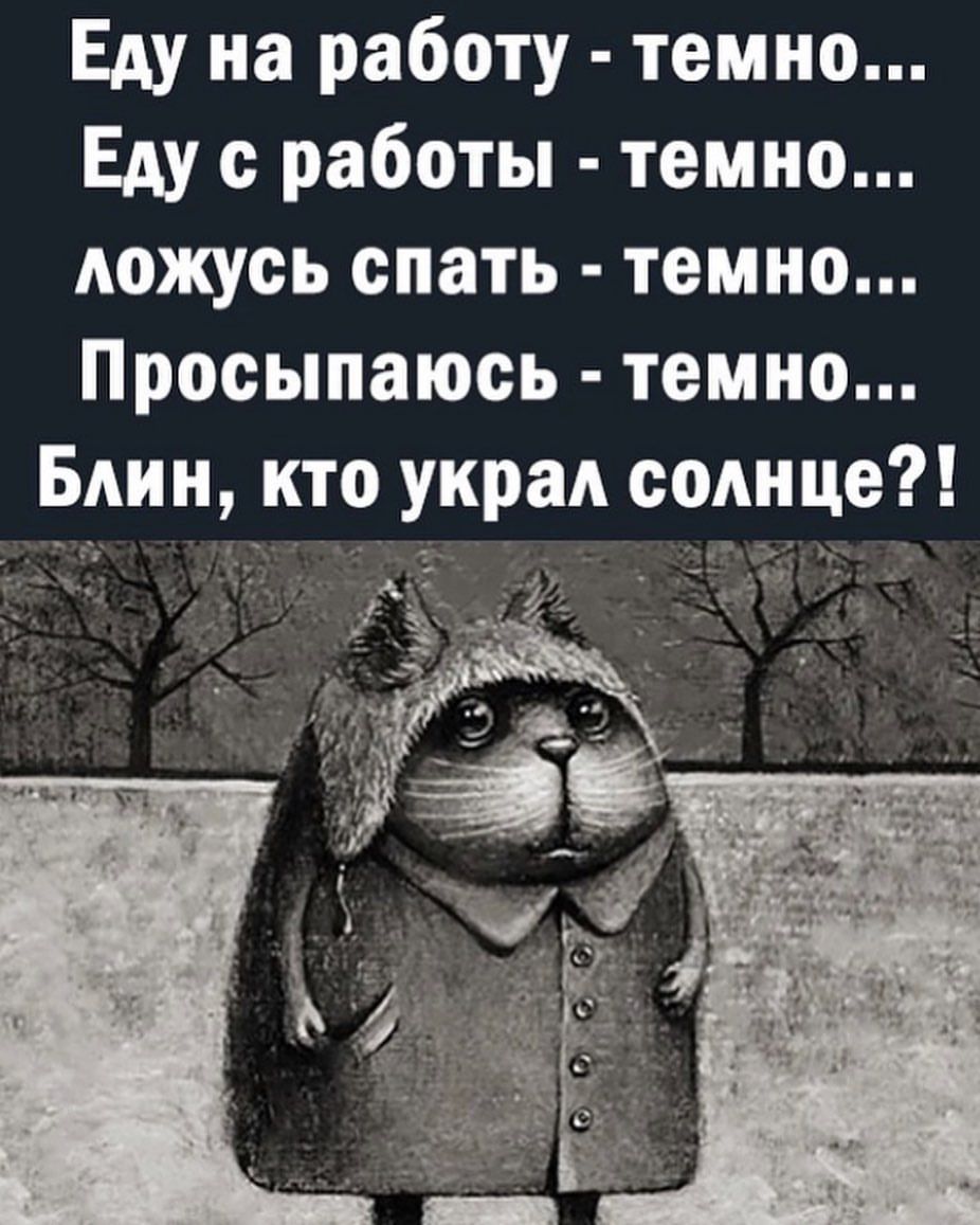 Еду на работу темно Еду с работы темно ложусь спать темно Просыпаюсь темно Блин кто украл солнце