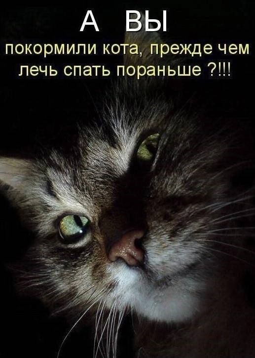 АВЫ покормипи ко1прежде чем лечь спать пораньше