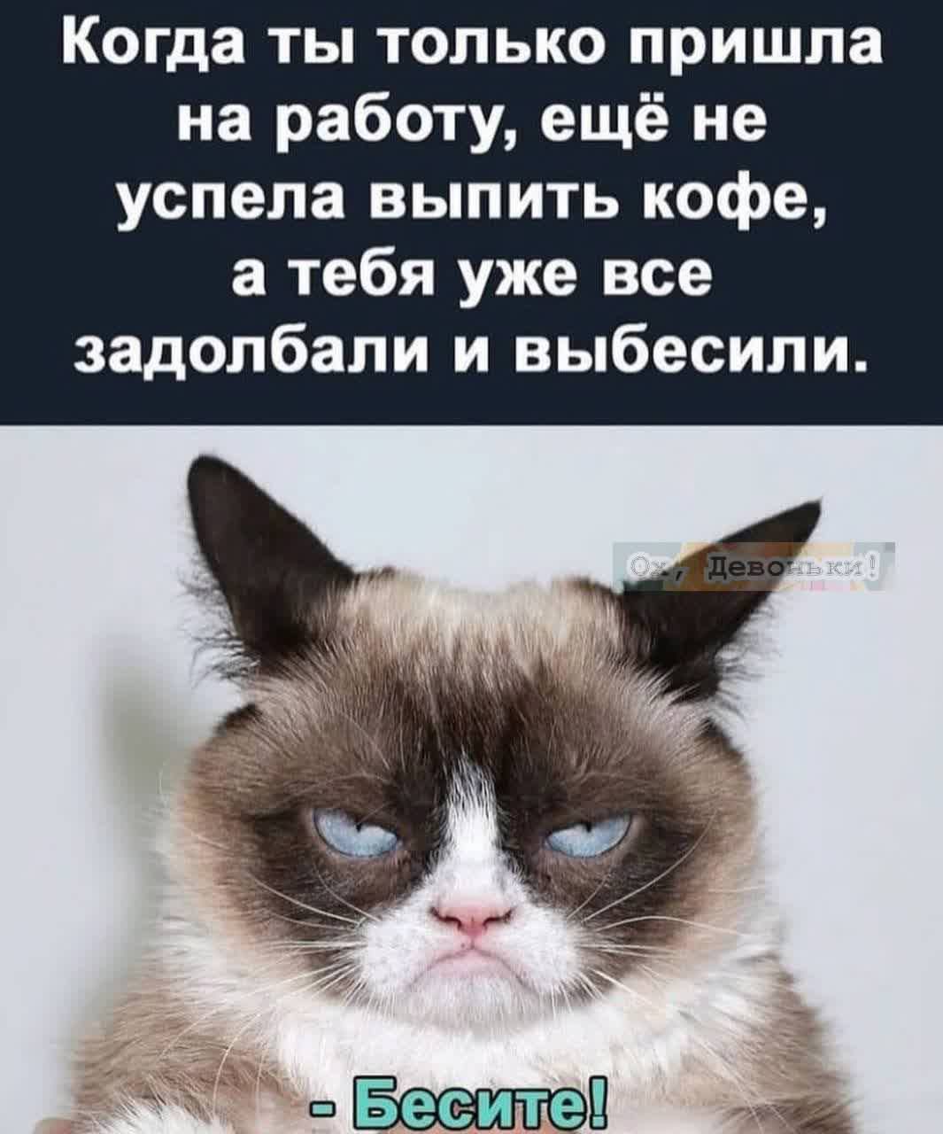 Когда ты только пришла на работу ещё не успела выпить кофе а тебя уже все задолбали и выбесили