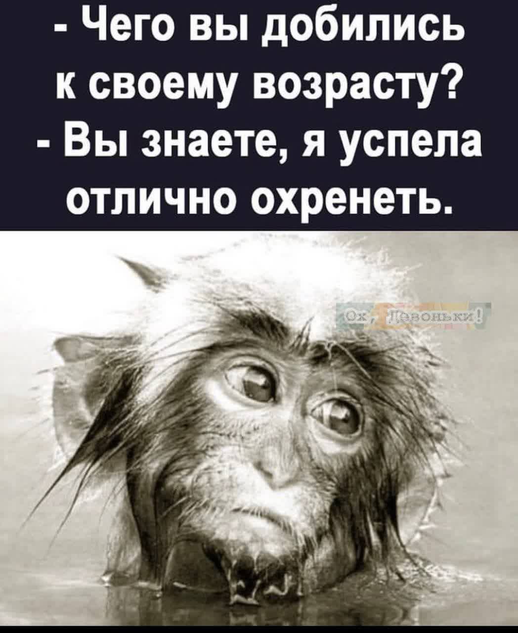 Чего вы добились к своему возрасту Вы знаете я успела отлично охренеть