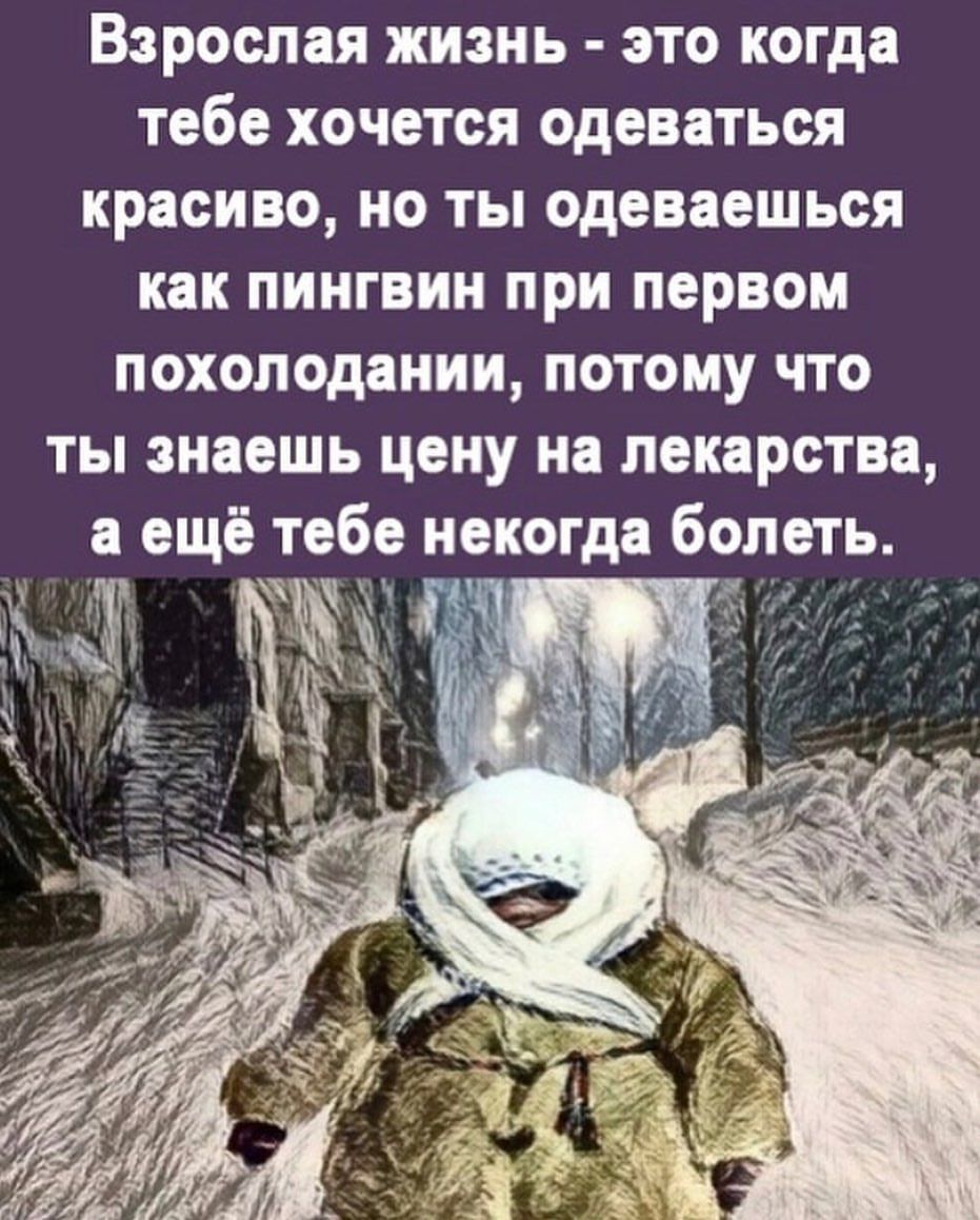 Взрослая жизнь это когда тебе хочется одеваться красиво но ты одеваешьоя как пингвин при первом похолодании потому что ты знаешь цену на лекарства в ещё тебе некогда болеть Р