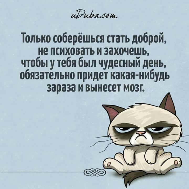 Только соберёться стать доброй не психовать и захочешь чтобы у тебя был чудесным день обязательно придет какая нибудь зараза и вынесет мозг