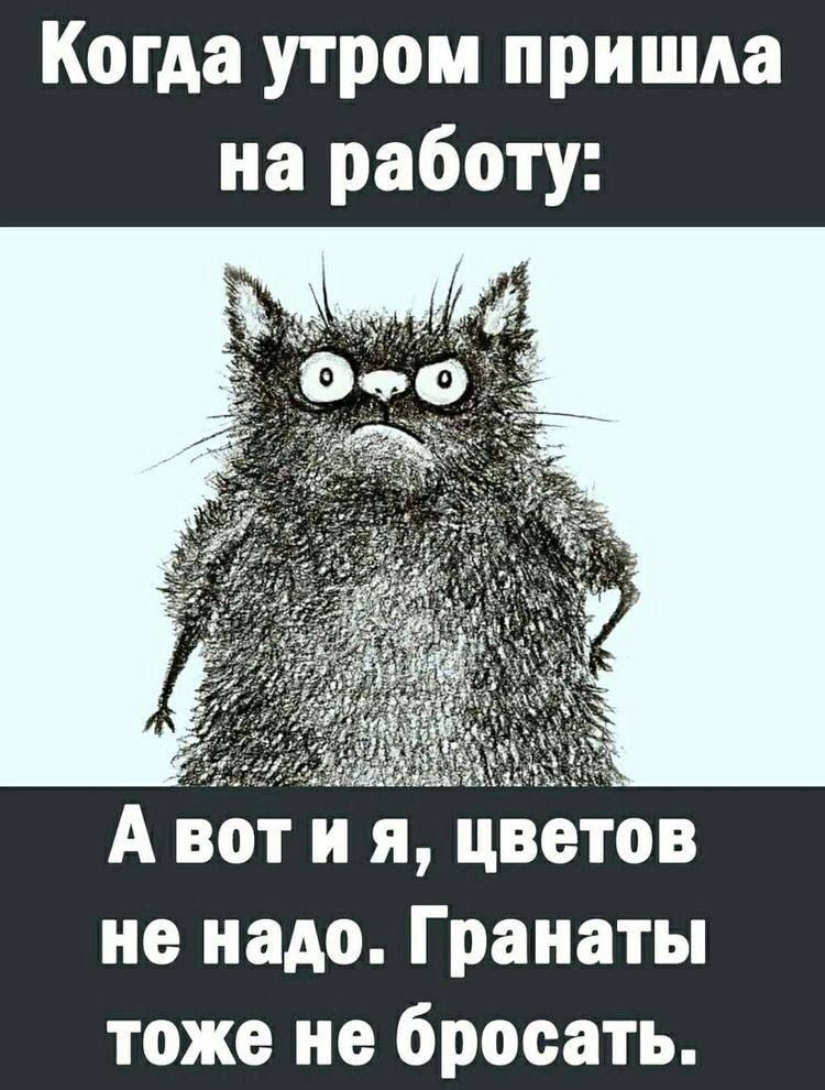 Когда утром пришла на работу г А А вот и я цветов не надо Гранаты тоже не бросать