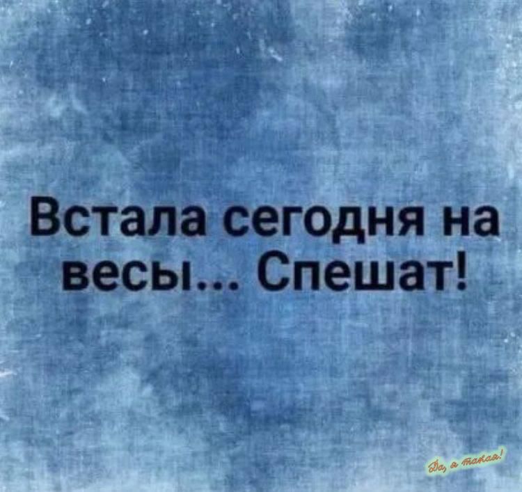 Встала сегодня на весы Спешат