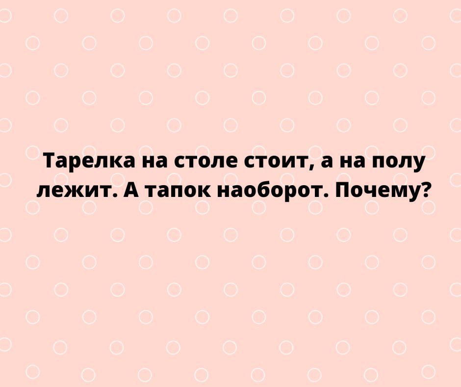 Тарелка на СТОЛЕ СТОИТ на полу лежит А тапок наоборот Почему