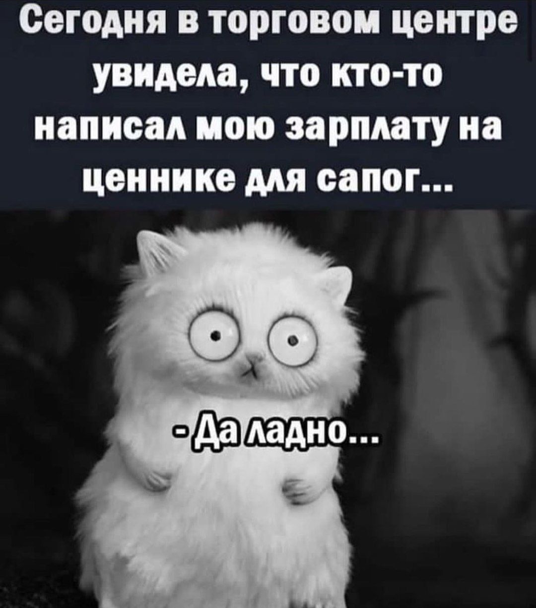 Сегодня в торговом центре увидела что кто то написал пою зарплату на ценнике мя сапог