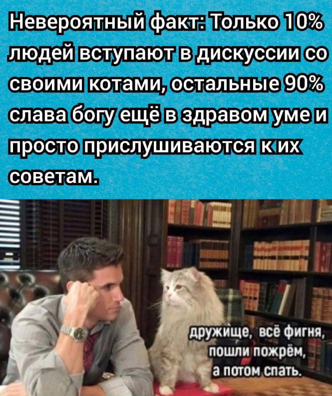 Невероятный фак т Только 10 людей вступают в дискуссии со своими котами остальные 90 слава богу ещё в здравом уме и просто прислушиваются к их советам ШШШ _хц