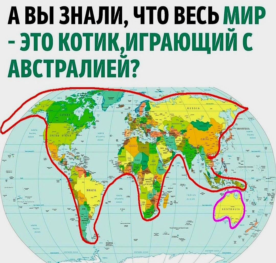 А ВЫ ЗНАЛИ ЧТО ВЕСЬ МИР ЭТО КОТИКЬИГРАЮЩИИ С АВСТРАЛИЕИ