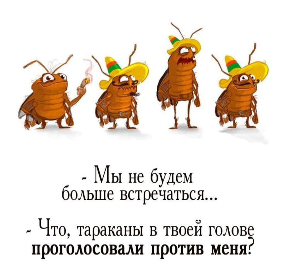 Мы не будем больше встречаться ЧТО тараканы В твоей ГОАОВС ПРОГОЛОСОВШ ПРОТИВ МЕНЯ