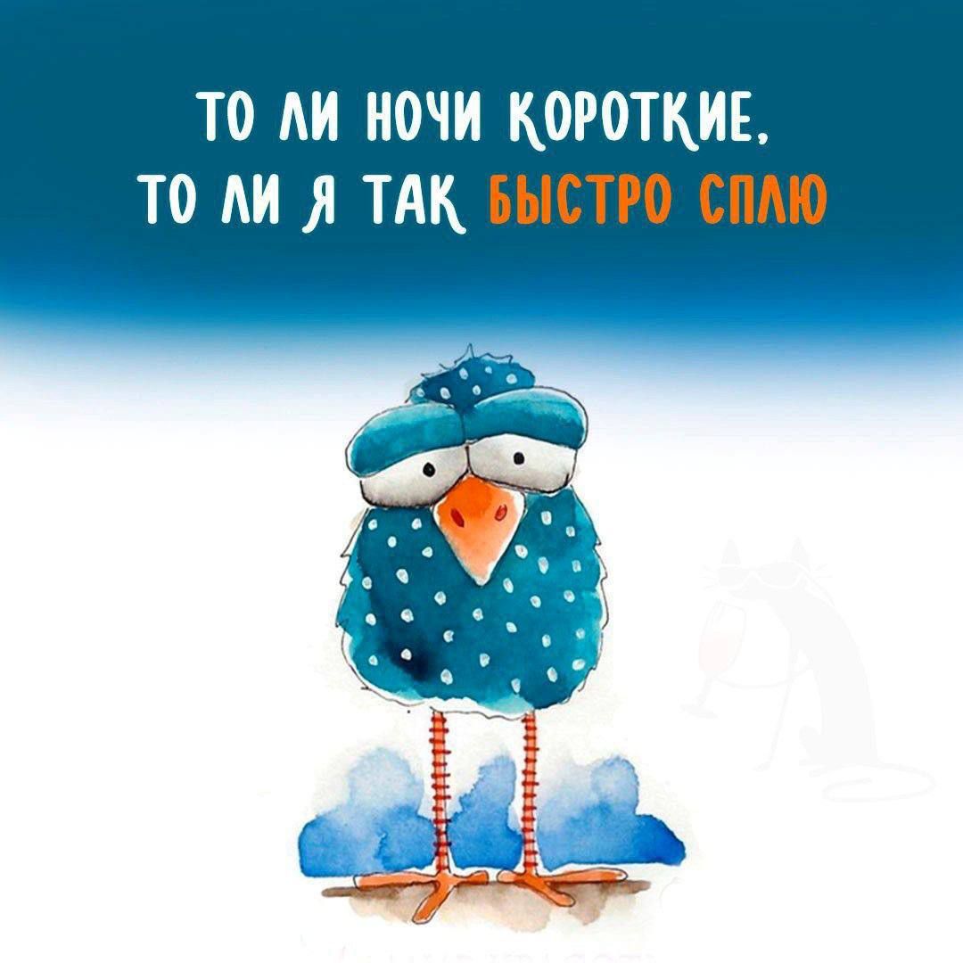 ТО АИ НОЧИ КОРОТКИЕ ТО АИ ТАК