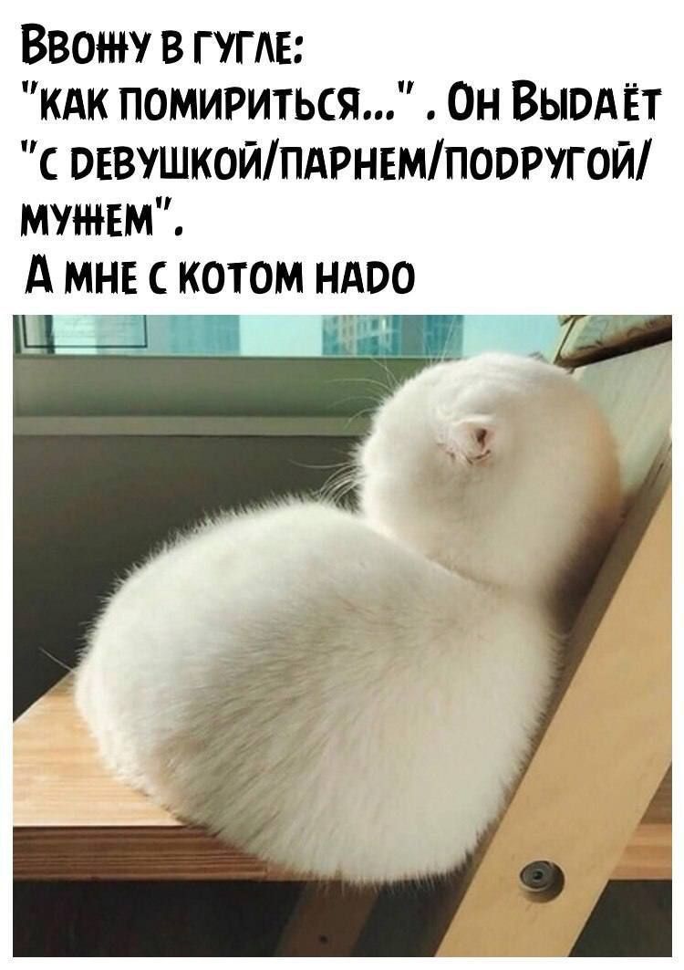 Ввожу в гугмг кдк помириться Он ВЫВАЁТ певушкойпдрнвмпооругой МУШЕМ А мне с котом ндоо д 5115 у