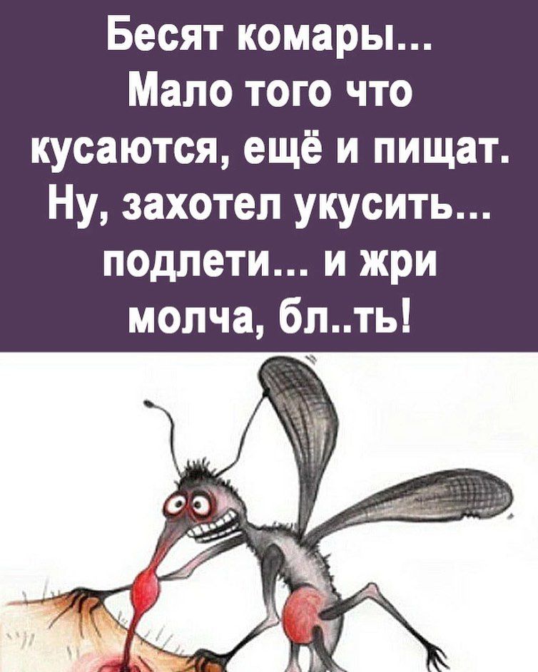 Бесят комары Мало того что кусаются ещё и пищат Ну захотел укусить подлети и жри молча бпть