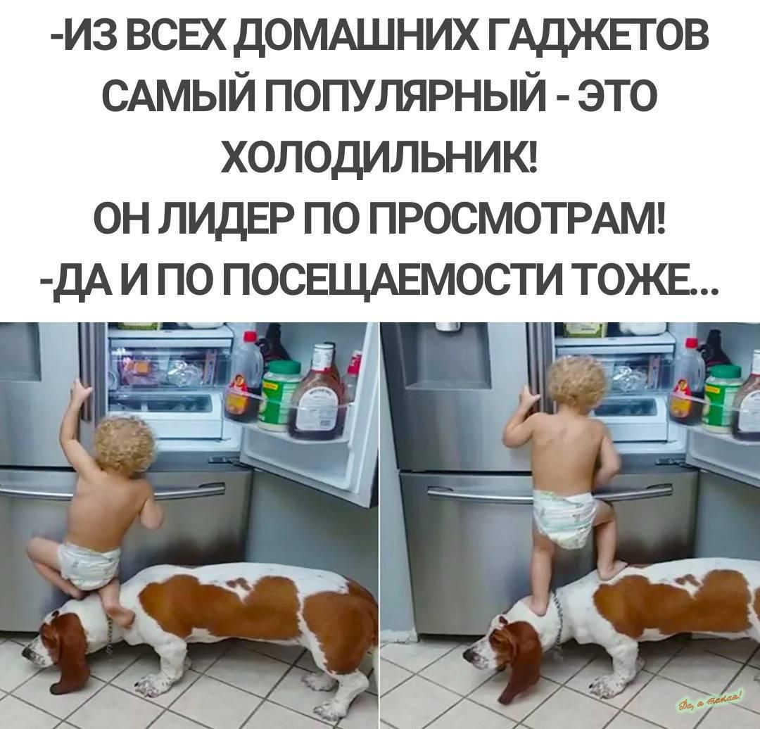 из всвх домдшних ГАДЖЕГОВ САМЫЙ популярный это ХОЛОДИЛЬНИК ОН ЛИДЕР ПО ПРОСМОТРАМ дА И ПО ПОСЕЩАЕМОСТИ ТОЖЕ