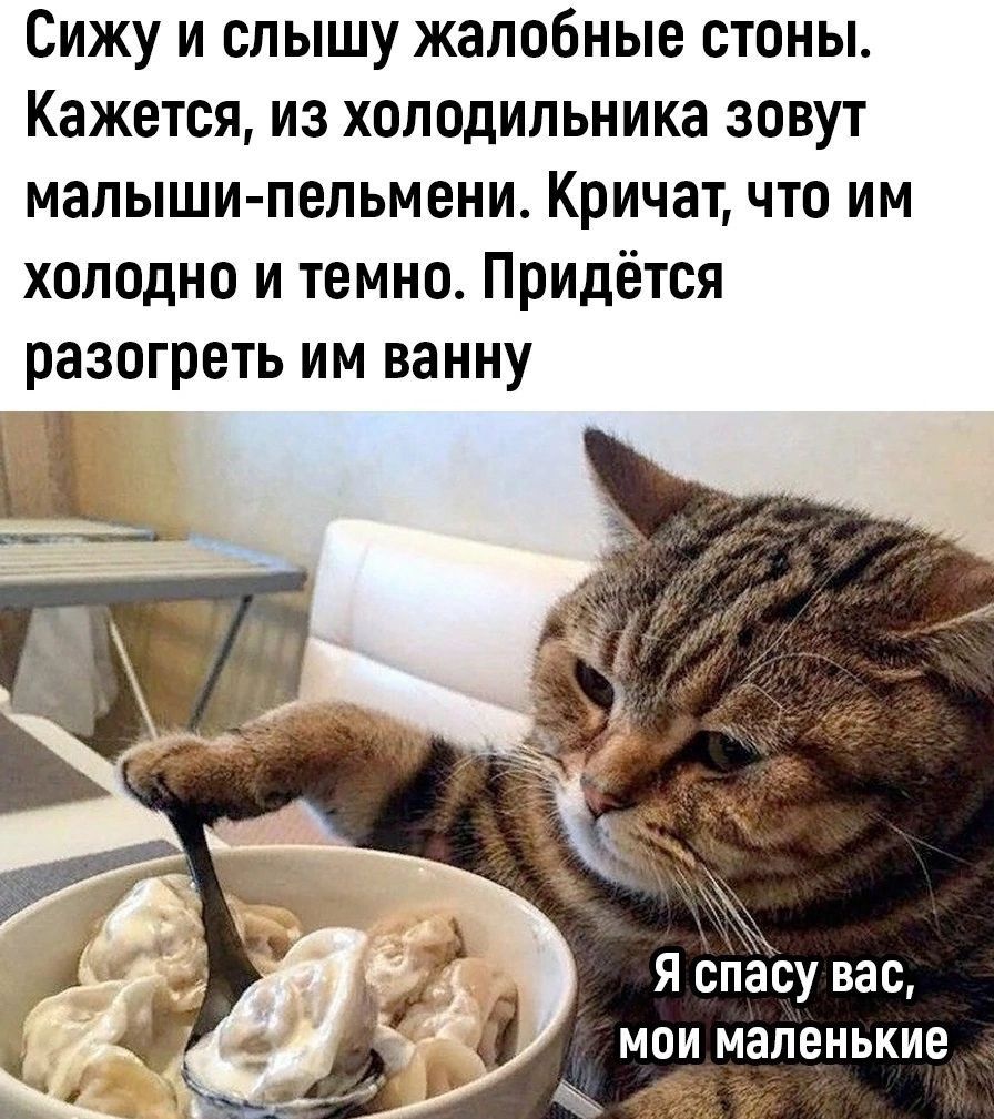 Сижу и слышу жалобные стоны Кажется из холодильника зовут малышипельмени Кричат что им холодно и темно Придётся разогреть им ванну я спёсу вас Мои Маленькие