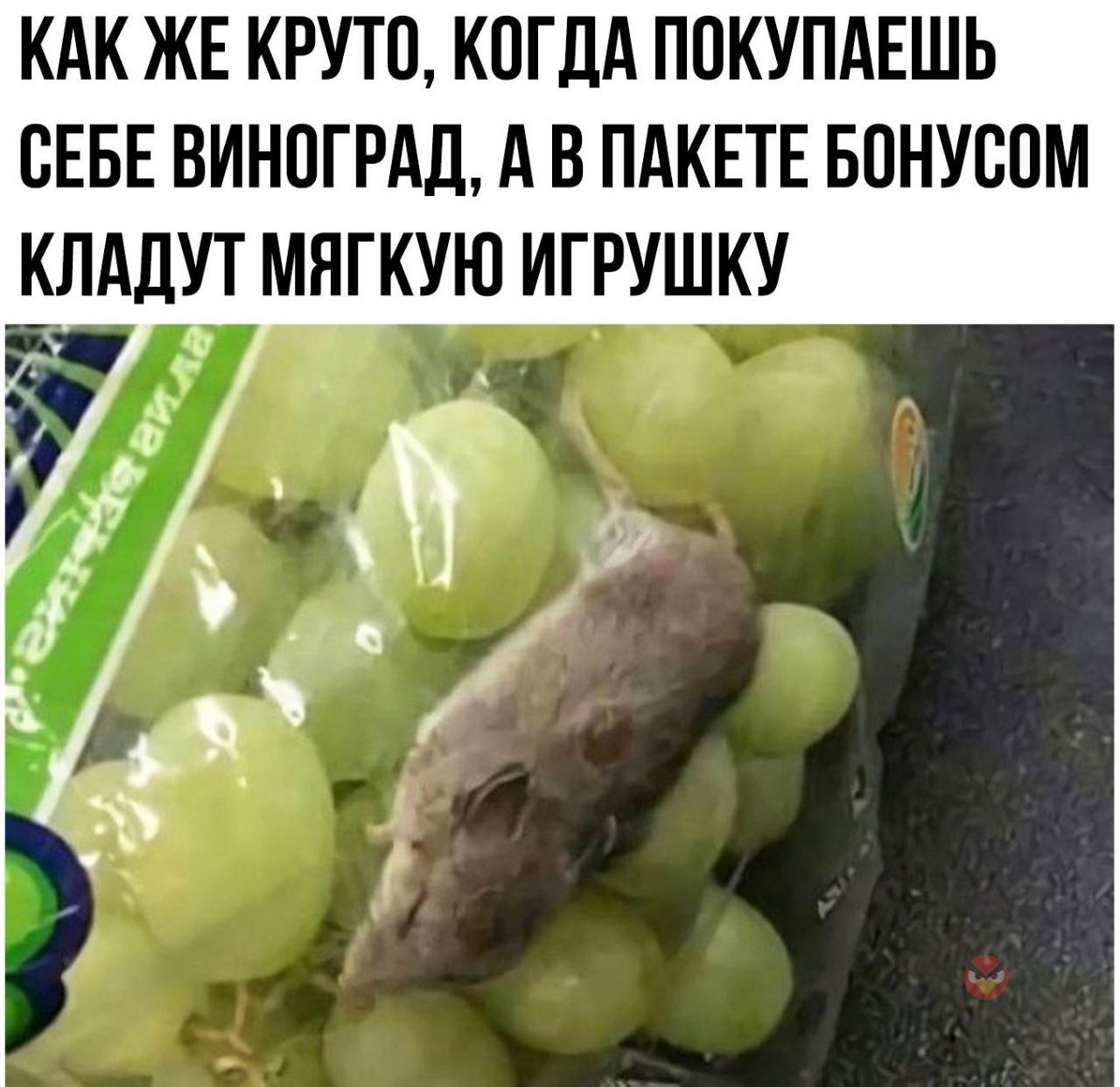 КАК ЖЕ КРУТО КОГДА П0КУПАЕШЬ СЕБЕ ВИНПГРАД А В ПАКЕТЕ БПНУВПМ КЛАЛУТ МНГКУЮ ИТРУШКУ