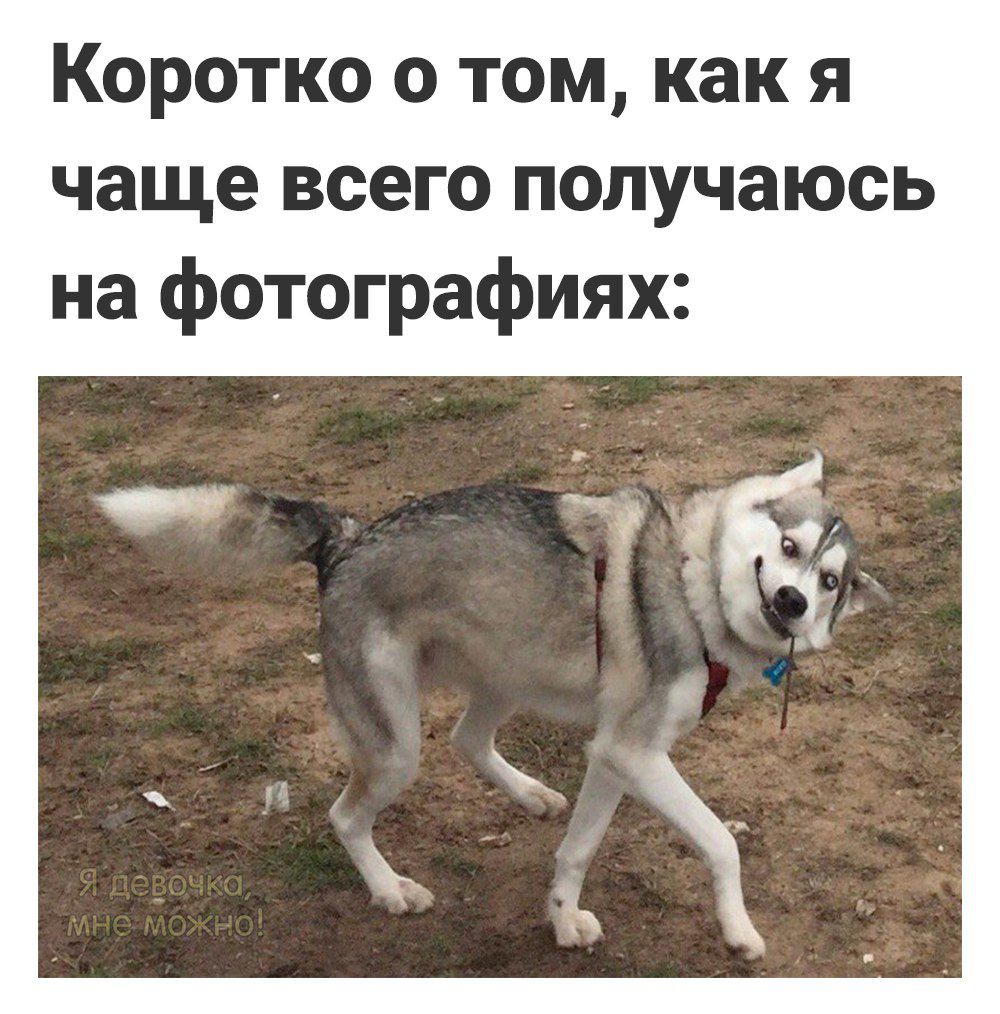 Коротко о том как я чаще всего получаюсь на фотографиях