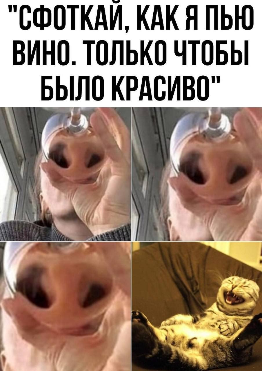 ОФОТКАИ КАК Я ПЬЮ ВИНО ТОЛЬКО ЧТОБЫ БЫЛО КРАСИВО