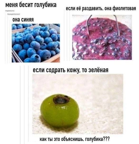 меня бесит Голубика если её рпшіить пиа фиплвгпвап ВИЗ СИНИЙ ЕСЛИ содрать КВЖУ то ЗЕЛЁИЗЯ как т пбьясиишь плуйикд