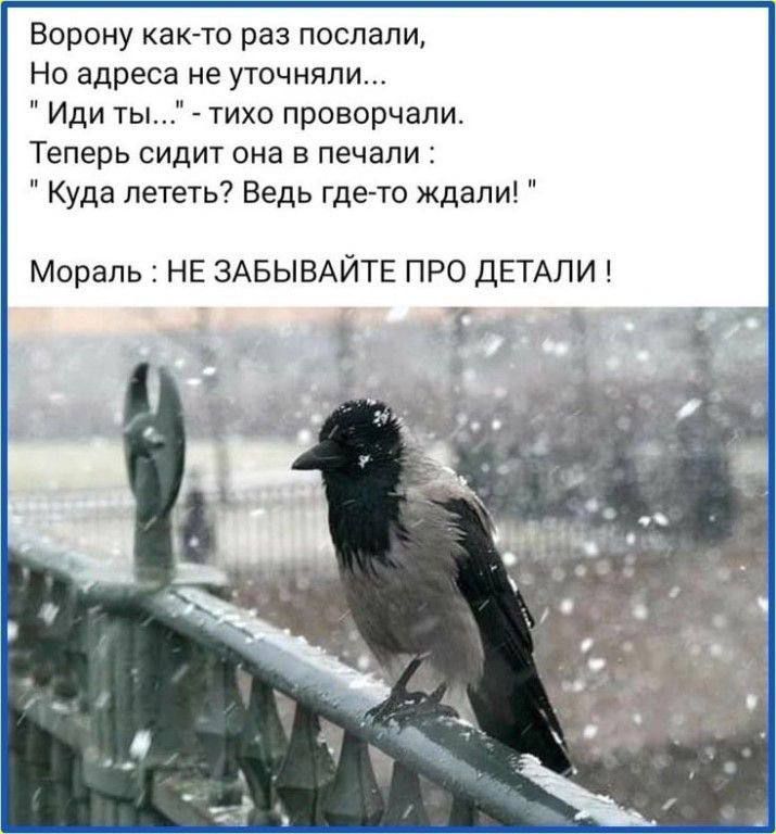 Ворону как то раз послали Но адреса не уточнили Иди ты тихо проворчапи Теперь сидит она в печали Куда лететь Ведь где то ждали Мораль НЕ ЗАБЫВАЙТЕ ПРО ДЕТАЛИ