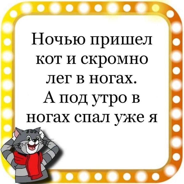 Ё Ночью пришел кот И скромно лег в ногах А под утро в и ногах спал уже я