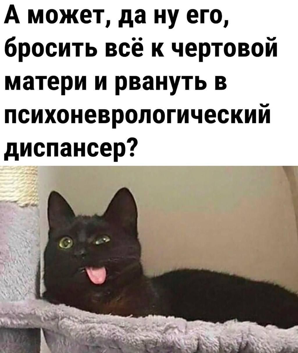 А может да ну его бросить всё к чертовой матери и рвануть в психоневрологический диспансер