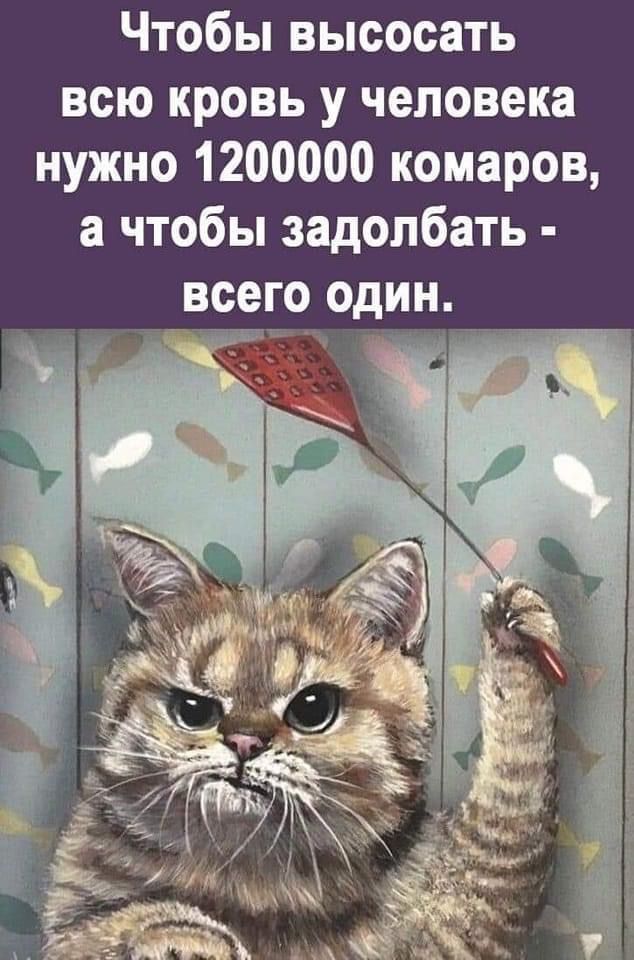 Чтобы высосать всю кровь у человека нужно 1200000 комаров чтобы задолбать всего один