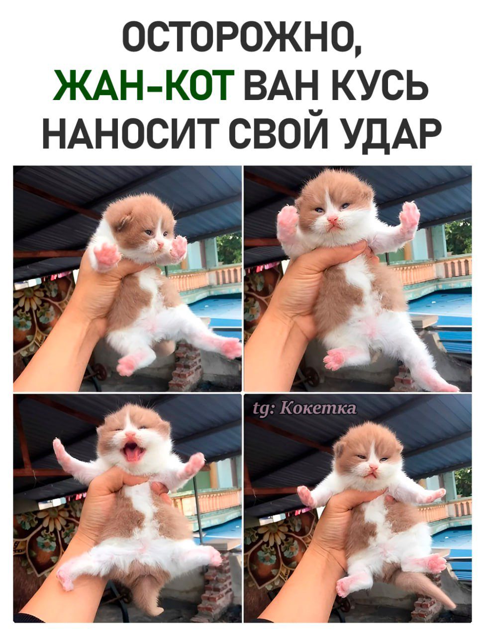 ОСТОРОЖНО ЖАН КОТ ВАН КУСЬ НАНОСИТ СВОИ УДАР