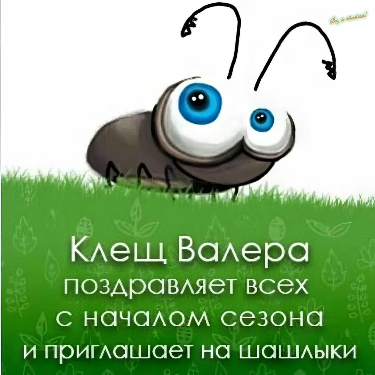 КАеЩ Всхера ПОЗАрОВАЯеТ ВСЭХ С НОЧОАОМ СЭЗОНО И ПРИГАОШОЭТ НС ШОШАЫКИ
